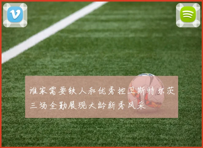 谁家需要铁人和优秀控卫斯特尔茨三场全勤展现大龄新秀风采
